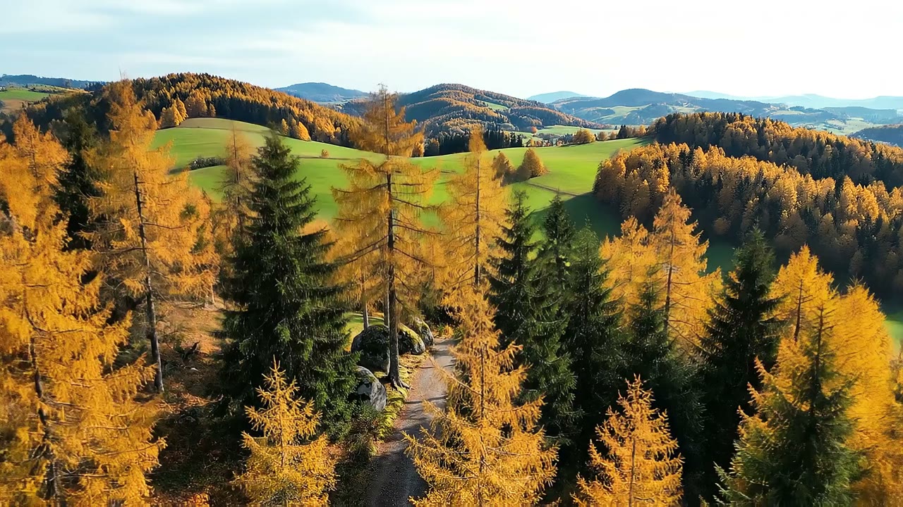 Wanderweg durch die herbstlichen Hügel der Weststeiermark